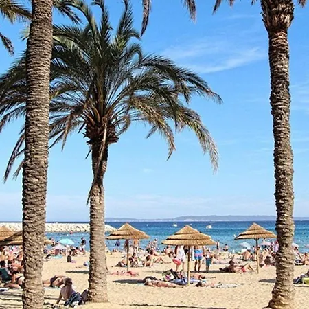 2 Pieces Avec Terrasse Et Parking Au Lavandou - Fr-1-251-894 דירה *
