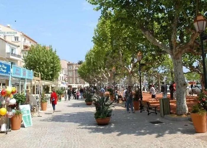 Apartament 2 Pieces Avec Terrasse Et Parking Au Lavandou - Fr-1-251-894 *