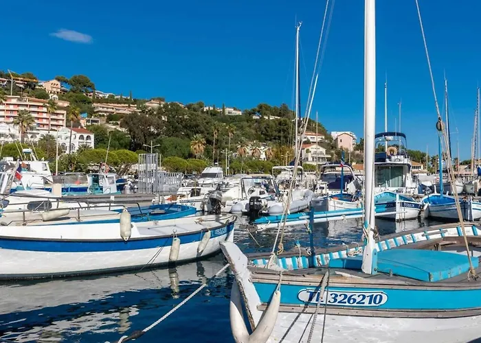 2 Pieces Avec Terrasse Et Parking Au Lavandou - Fr-1-251-894 Le Lavandou